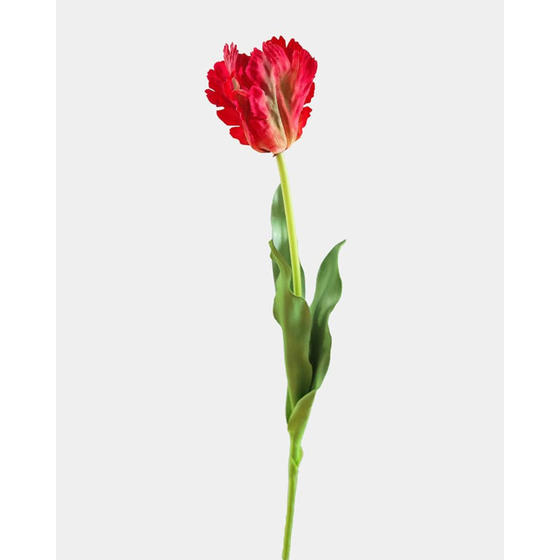 Real Touch Lemon Parrot Tulip 27", White