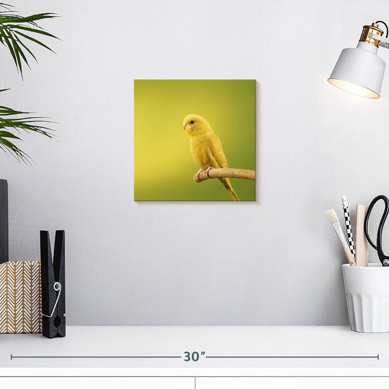 Brampt Perched Yellow Parakeet, 10" H x 10" W