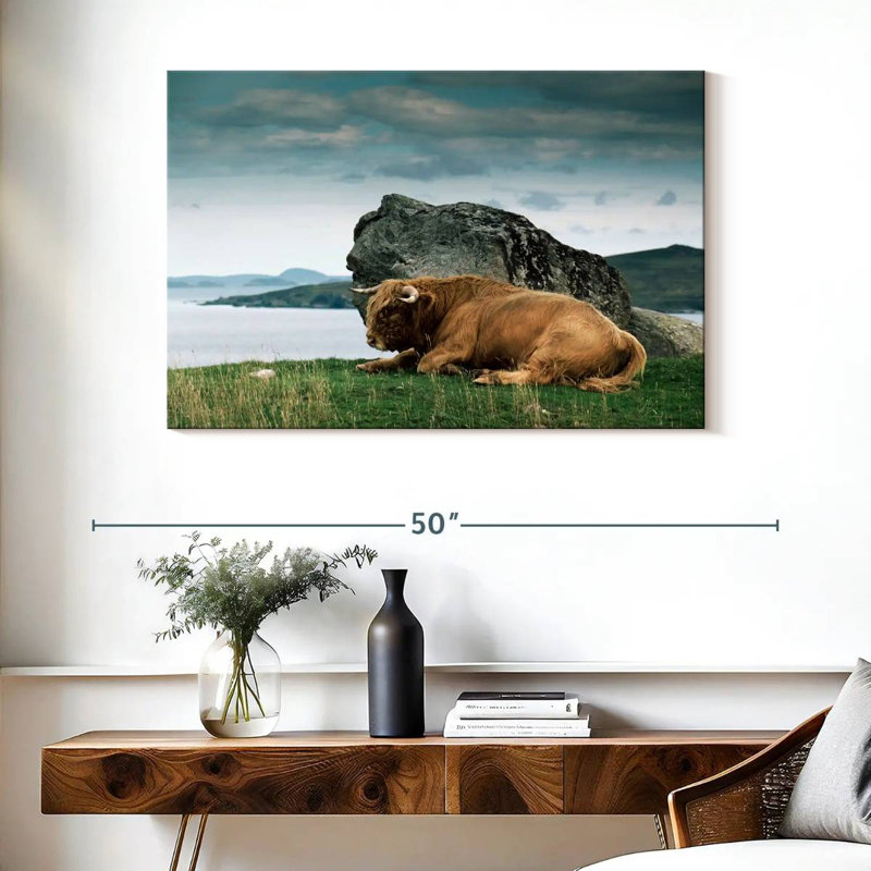 Brampt Highlander Bull, 26" H x 39" W