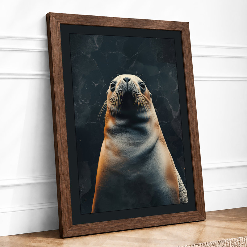 Seal's Gentle Gaze Modern - Framed Print, Walnut, A4 - 29.7 x 21.0 cm
