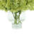 Hydrangea Arrangement in Vase-366439969