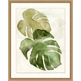 Elephant Ears 1 Print