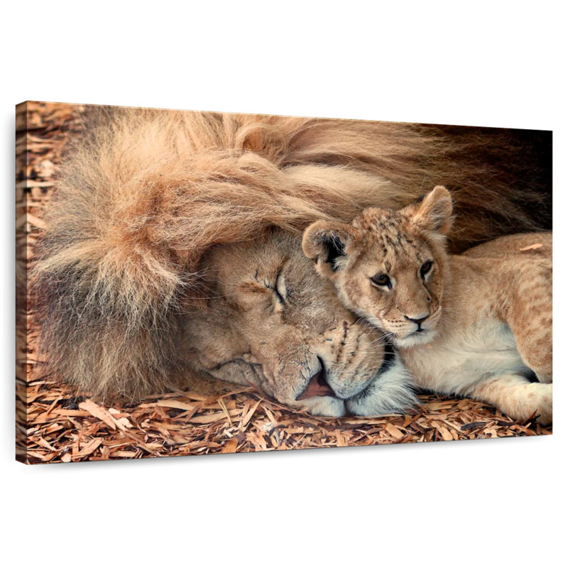 Brampt Father And Son Lions