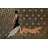 Own the Street - Graphic Art on Canvas-14345357-67047401