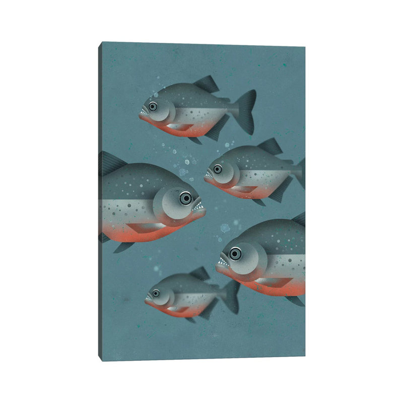 Piranhas by Dieter Braun - Print on Canvas, 20.32 cm H x 30.48 cm W, Wrapped Canvas