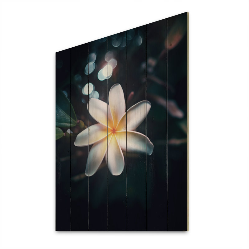 Celsea blanc jaune exotique fleur de plumeria sur bois, H 32 po x l 24 po x P 0,78 po