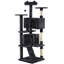 Cat Tree-101437452-105286892