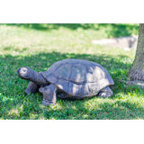 Large Turtle Statue