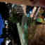 Photos des clients 2 de 3