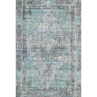 Premium Machine Washable Lucchesi AMF1729 Global Rug