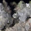 Flavien calcite et dolomite avec duftite