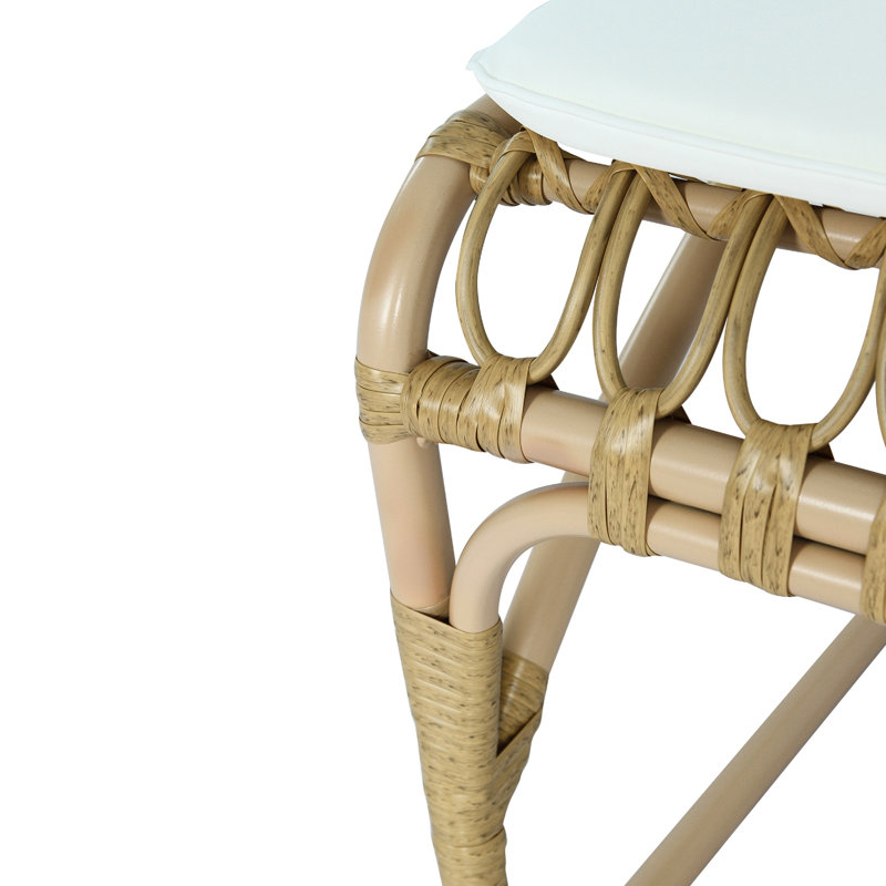 Chaises d'extérieur en PE avec coussins lavables. Rouille - cadre en fer, design moderne. Pour le jardin, le patio, la cour. Rembourrage de 1,2 po d'épaisseur, tendance. Cour arrière, au bord de la piscine. En forme de pétale, style