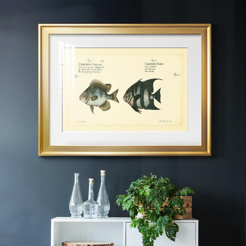 " Bloch Antique Fish II ", 27" H x 39" W x 1.5" D, Gold