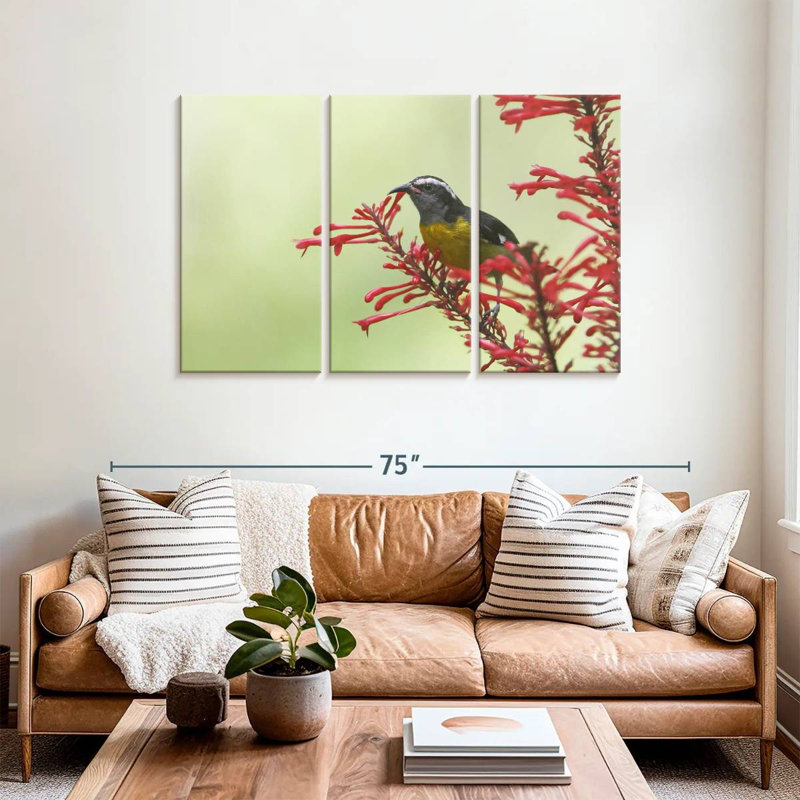 Ronce nourrissant un oiseau bananier, H 36 po x l 57 po