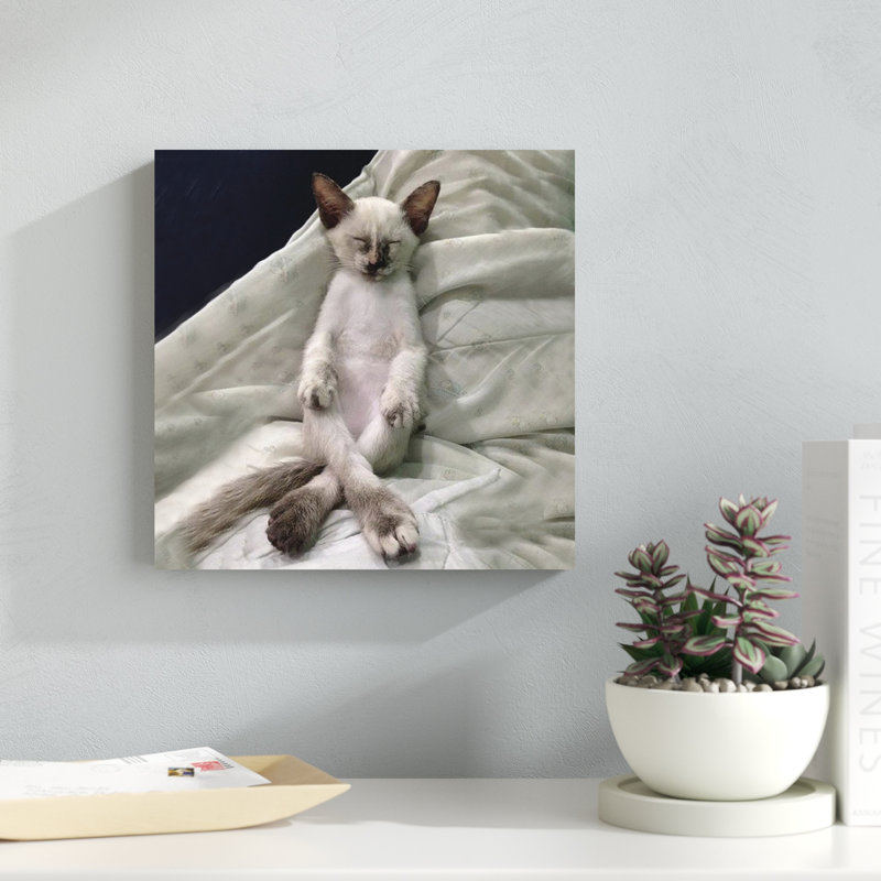Cat Yoga II, H 12 po x l 12 po