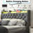 Oneita Upholstered LED Bed Frame With Storage Headboard Charging Station 2 Drawers Gray-1968671387