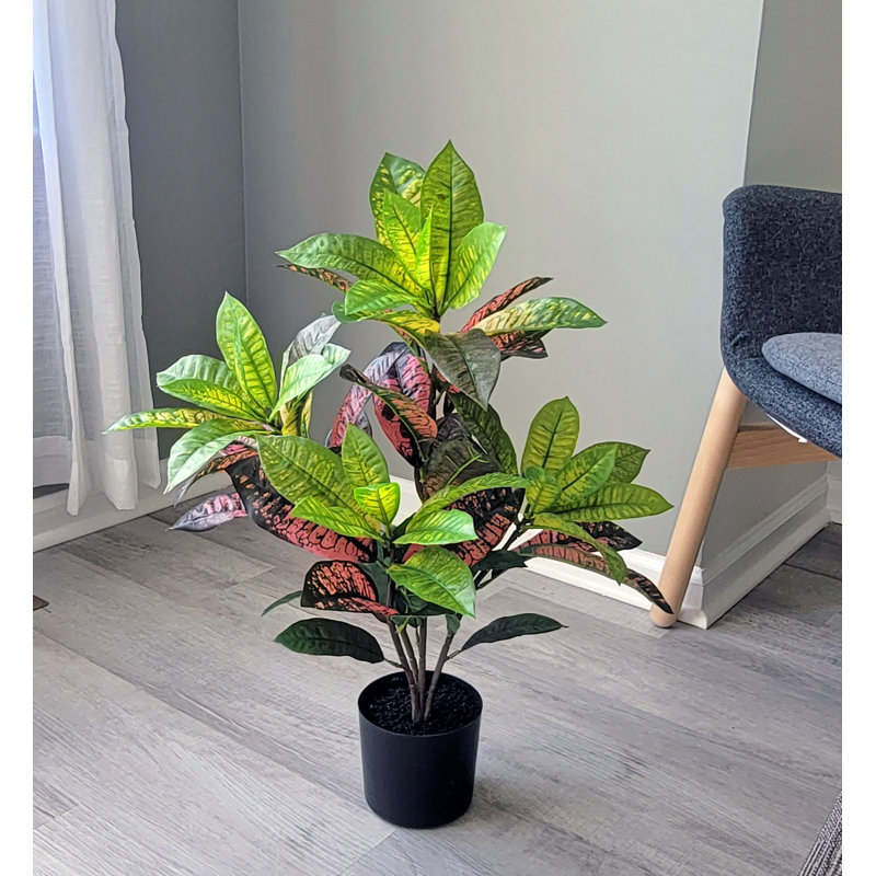 Arbre croton artificiel en pot Real Touch, H 24 po x l 22 po x P 22 po