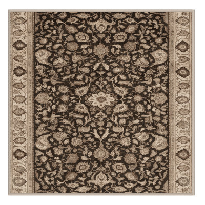 Tapis brun lavable à la machine