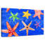 Motif d'étoile de mer sous l'eau-720074242