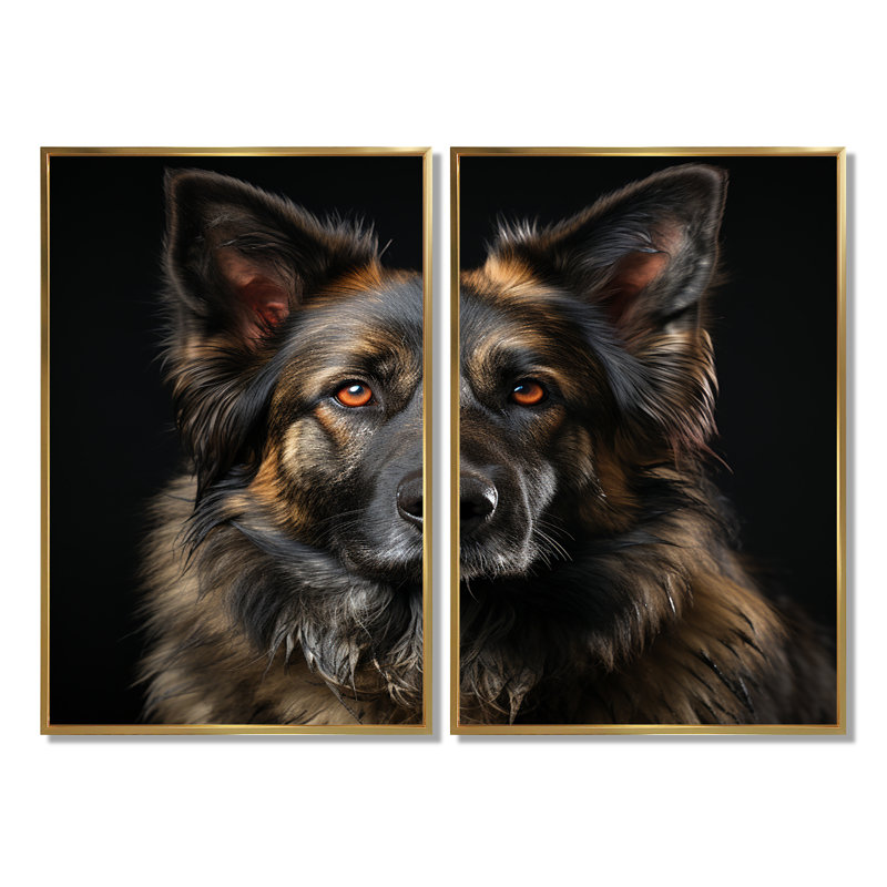 Chien, berger allemand, 36" H x 48" W, Impression encadrée flottante, Gold
