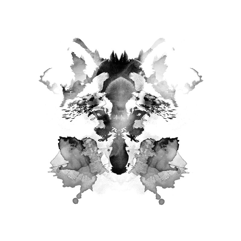 Rorschach by Robert Farkas - Wrapped Canvas Gallery-Wrapped Canvas Giclée, 30.48 cm H x 30.48 cm W