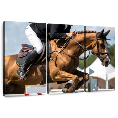 Spectacle de saut à cheval Sireci