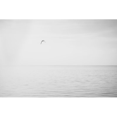 Black and White Water Panel XVI 1 Piece Wall Art on Canvas