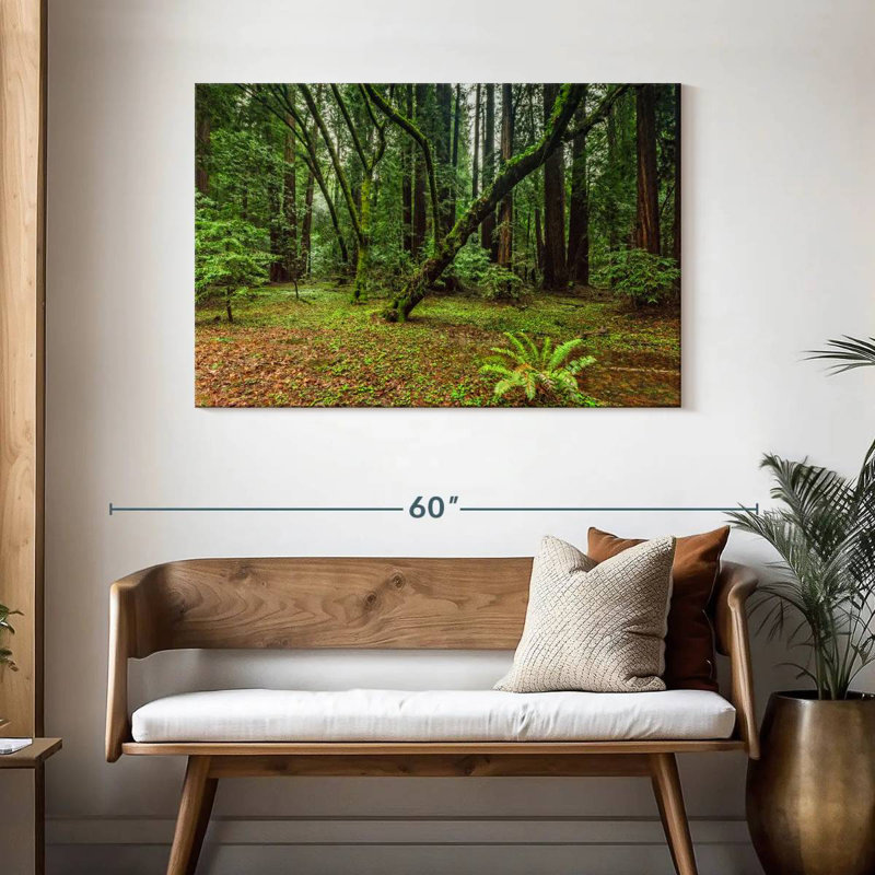 Alvord Muir Woods Forest