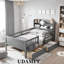 Lit plateforme simple en bois avec lumière DEL intégrée, tête de lit multifonctionnelle, 2 tiroirs-110603044
