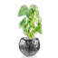 Handmade Pot Planter-52454939