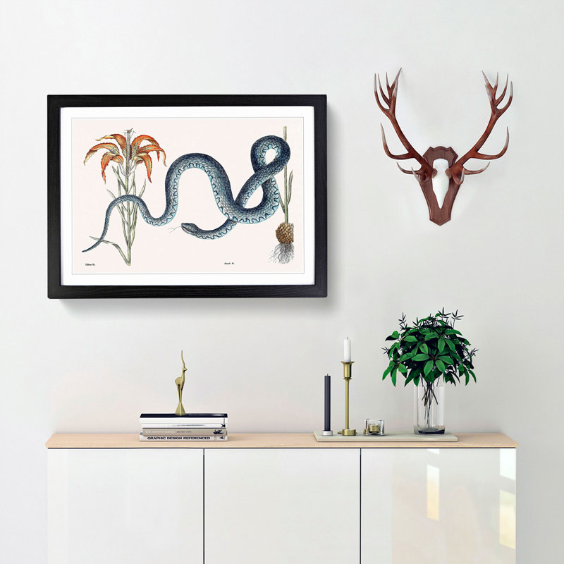 Blue Wampum Snake by Mark Catesby - Picture Frame Painting Print, 36cm H x 48cm W x 2cm D, Black Framed