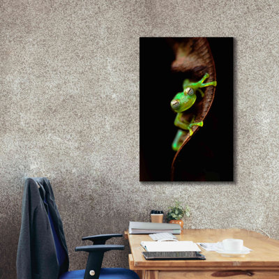 «Frog Portrait» par Thomas Haney, estampe numérique sur toile