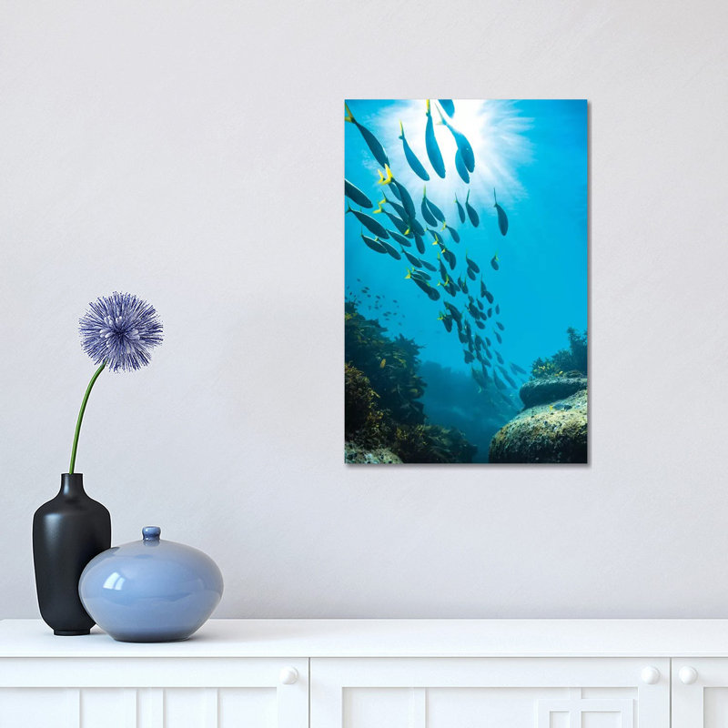 Underwater Sydney by James Vodicka - Wrapped Canvas Gallery-Wrapped Canvas Giclée, 45.72cm H x 30.48cm W