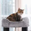 141cm H Cat Tree-2099514352