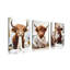 3 Piece Wrapped Canvas Print