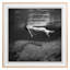 Floating 1 Print by Grand Archives-1070496099-1070496100