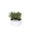 Faux Succulent-850935515