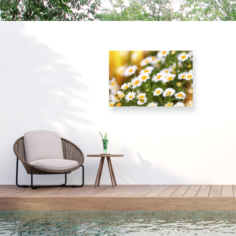 «Ologic ensoleillé »sur une impression sur toile, H 22 po x l 32 po