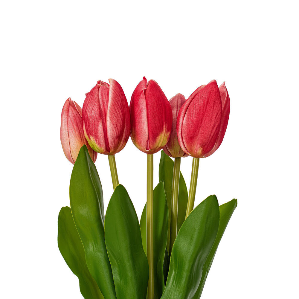 Jasiah Tulip Floral Stems, Mauve Cream