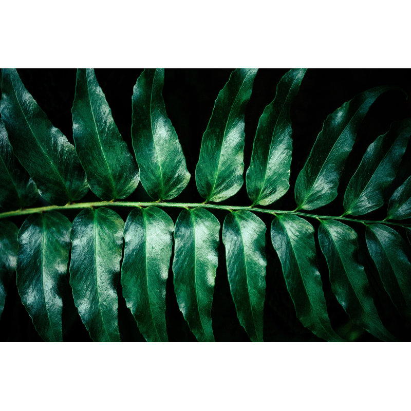 1 Piece Wrapped Canvas Wall Art, 101cm H x 152cm W x 3.81cm D