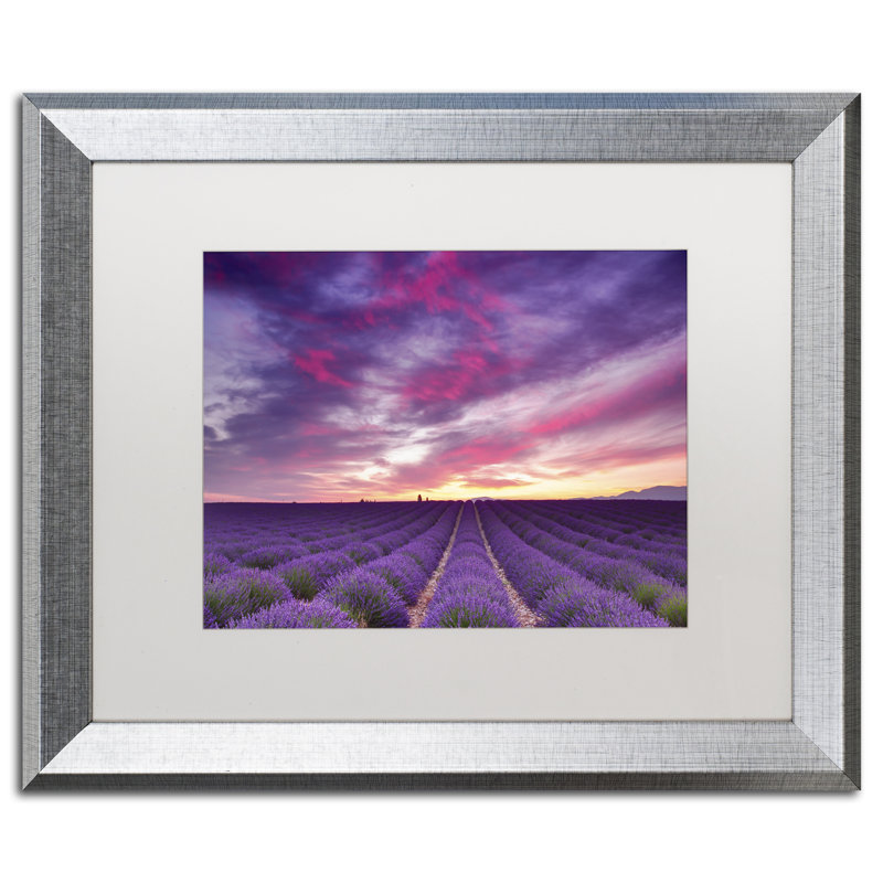«Pink and Purple», impression sur toile encadrée, H 11 po x l 14 po, Toile avec cadre argenté, Blanc