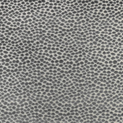 Kravet Design - 37087-11