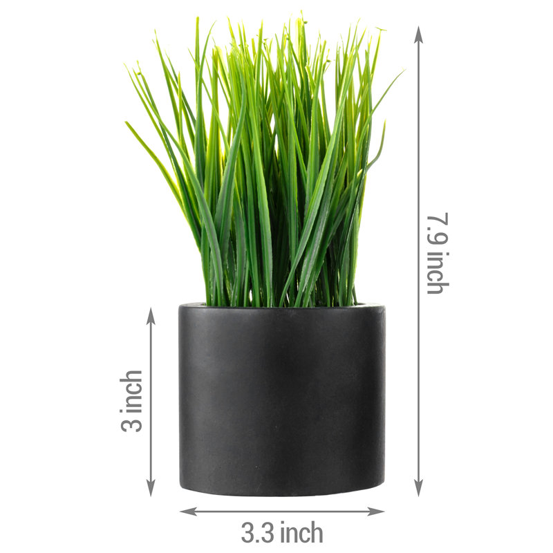7.87'' Faux Grass in Cement Pot, Black