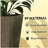 Set of 3 Flower Pots,Tall Planters-129086857