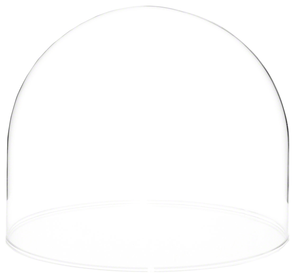 Latitude Run® Jenett Display Dome Cloche | Wayfair