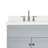 Hamlet 73'' Double Bathroom Vanity with White Quartz Top-60199499