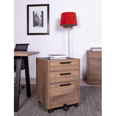 Brndon 48cm Wide 3 -Drawer Mobile File Cabinet