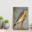 Art mural contemporain-1179875339