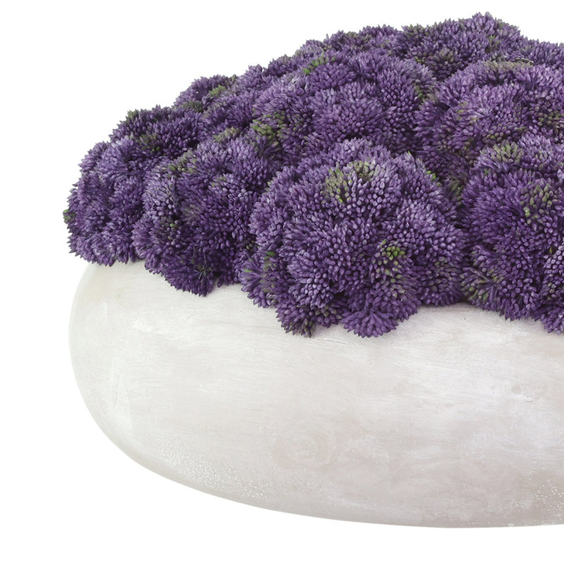 Sedum disposée dans un pot de fleurs en pierre, H 9 po x l 15 po x P 15 po, Mauve