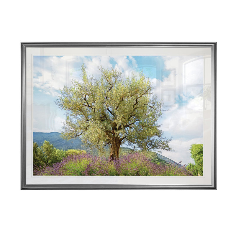 " Olive Tree And Lavender ", 20" H x 24" W x 1.5" D, Silver Frame